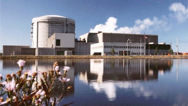 Nuclear reactor in front of a body of water with pink flowers in the foreground.